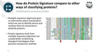 Introduction to Protein Families and Databases | PDF