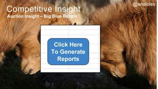 Competitive Insight
Auction Insight – Big Blue Button
@ansicles
 