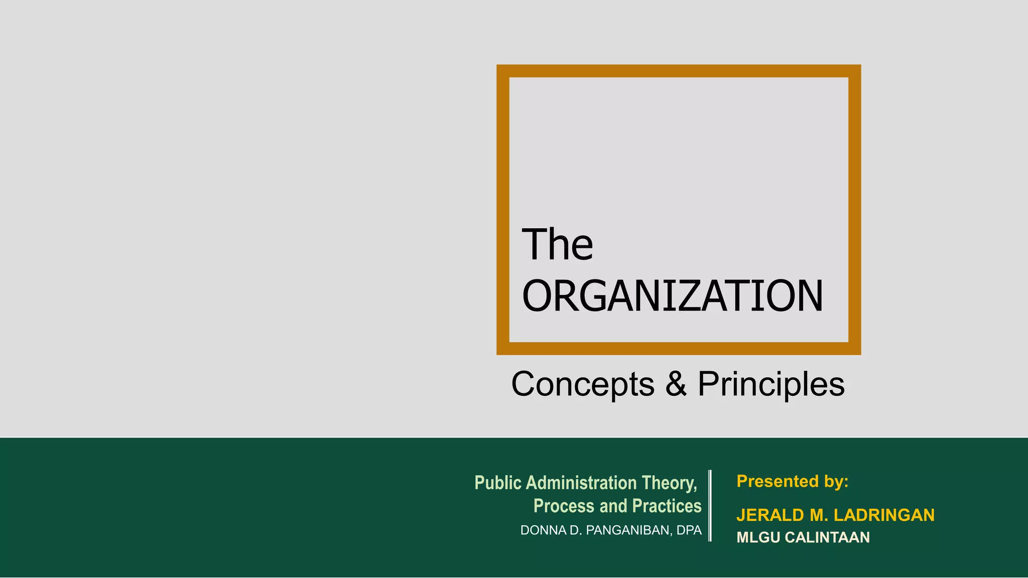 The Organization; Concepts & Principles | PDF
