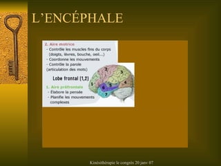 L’ENC ÉPHALE 