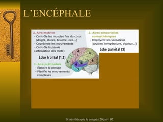 L’ENC ÉPHALE 