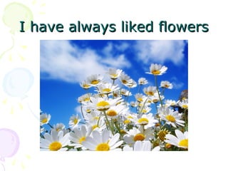 I have always liked flowersI have always liked flowers
 
