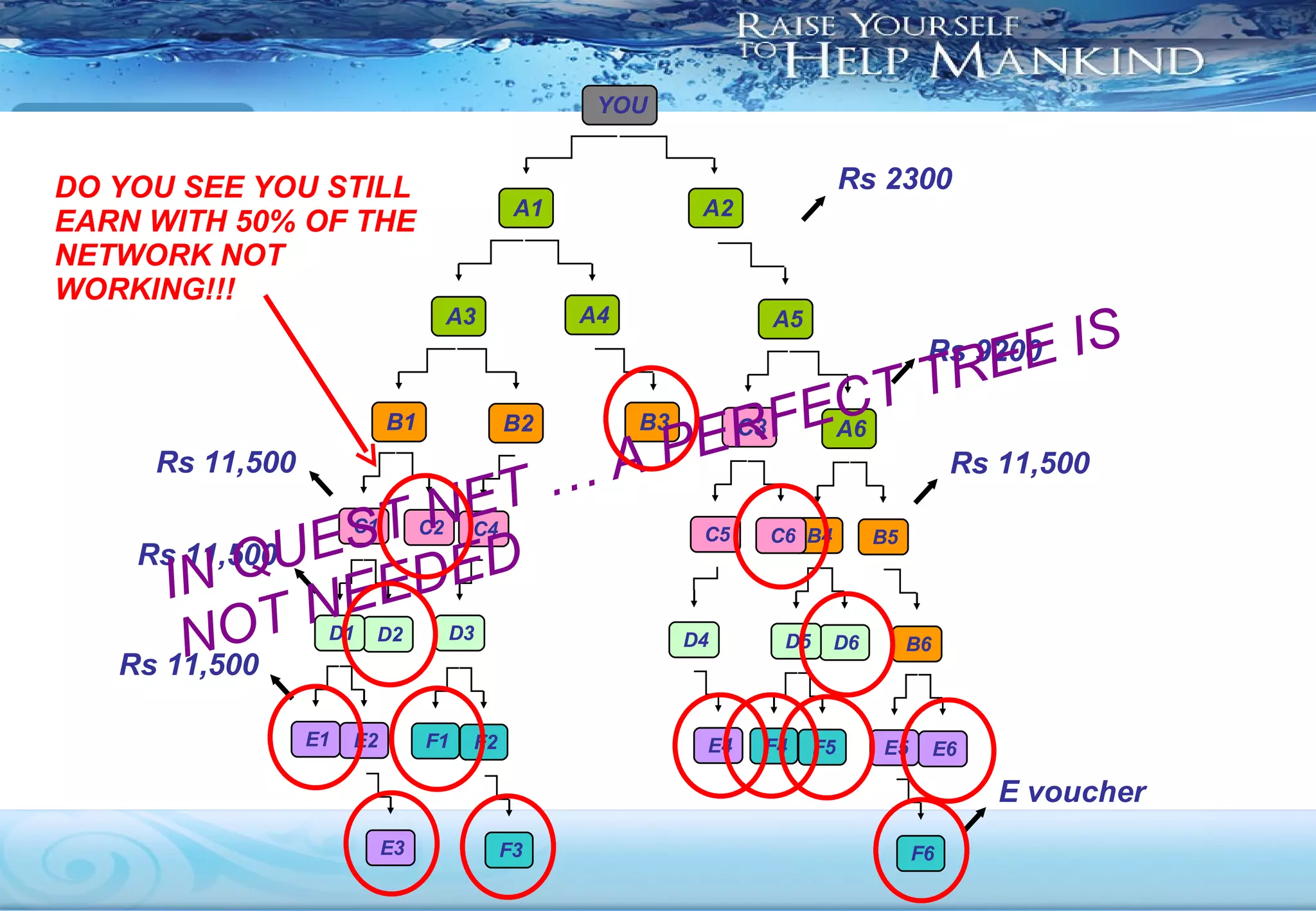 YOU IN QUEST NET … A PERFECT TREE IS NOT NEEDED DO YOU SEE YOU STILL EARN WITH 50% OF THE NETWORK NOT WORKING!!! A1 A2 A3 A4 Rs 2300 A5 B2 B1 B3 Rs 9200 A6 C3 C2 C1 B5 B4 Rs 11,500 B6 C6 C5 Rs 11,500 D2 D1 C4 D3 D4 D6 D5 Rs 11,500 E2 E1 E6 E5 E3 E4 Rs 11,500 F2 F1 F5 F4 F3 F6 E voucher 