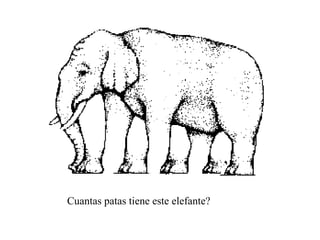 Cuantas patas tiene este elefante? 