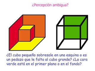 ¿Percepción ambigua? ¿El cubo pequeño sobresale en una esquina o es un pedazo que le falta al cubo grande? ¿La cara verde está en el primer plano o en el fondo? 