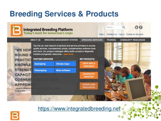 Plant Breeding Software Support