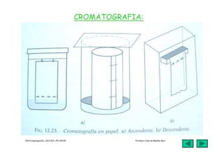 jmr_tg4_cromatografia_07