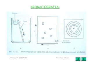 jmr_tg4_cromatografia_07