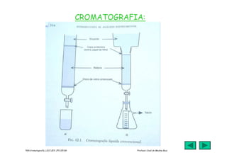 jmr_tg4_cromatografia_07