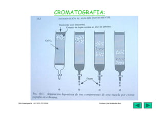 jmr_tg4_cromatografia_07