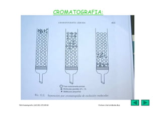 jmr_tg4_cromatografia_07