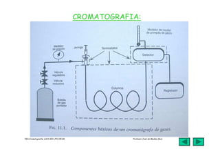 jmr_tg4_cromatografia_07