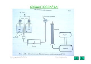 jmr_tg4_cromatografia_07