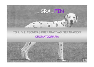 jmr_tg4_cromatografia_07