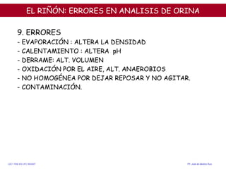 EL RIÑÓN:  ERRORES EN ANALISIS DE ORINA <ul><li>  </li></ul>9. ERRORES - EVAPORACIÓN : ALTERA LA DENSIDAD  - CALENTAMIENTO...