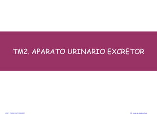 TM2. APARATO URINARIO EXCRETOR ,[object Object],LDC1.TM2.IES JFC 95/2007  Pfr .  José de Medina Ruiz. 