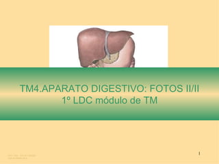 TM4.APARATO DIGESTIVO: FOTOS II/II 1º LDC módulo de TM LDC1.TM4. . IES JFC 95/2007  José de Medina Ruiz. 