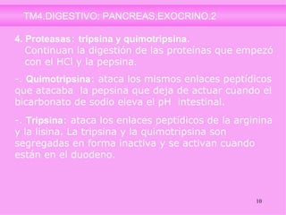 jmr_tm4_digestivo_pancreas_07