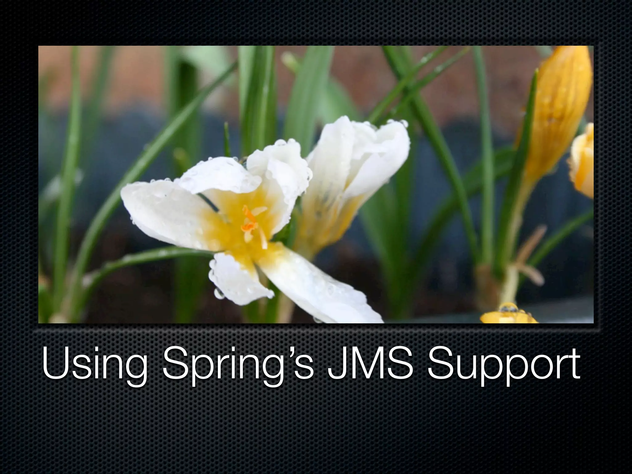 Using Spring’s JMS Support
 