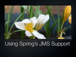 Using Spring’s JMS Support
 
