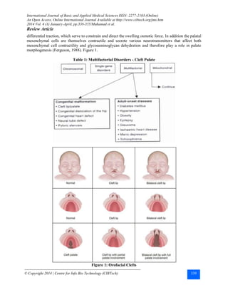 CLEFT LIP AND PALATE; A COMPREHENSIVE REVIEW | PDF