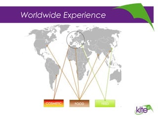 Worldwide Experience
 