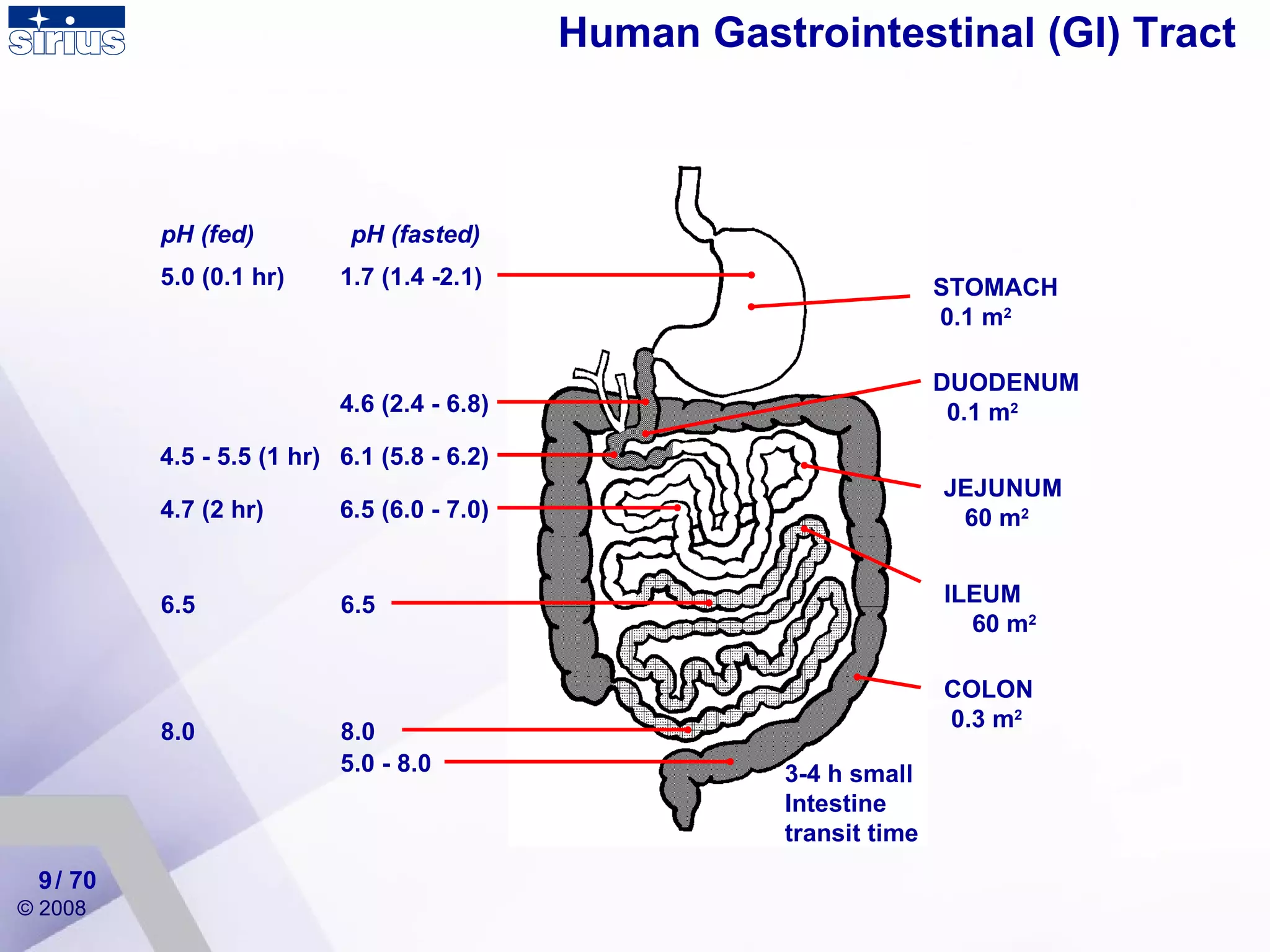 Human Gastrointestinal (GI) Tract / 70 STOMACH  0.1 m 2 DUODENUM  0.1 m 2 JEJUNUM  60 m 2 ILEUM  60 m 2 COLON  0.3 m 2 pH (fasted) 4.6 (2.4 - 6.8) 6.1 (5.8 - 6.2) 1.7 (1.4 -2.1) 6.5 (6.0 - 7.0) 6.5  8.0 5.0 - 8.0 pH (fed) 5.0 (0.1 hr) 4.5 - 5.5 (1 hr) 4.7 (2 hr) 6.5  8.0 3-4 h small  Intestine transit time 