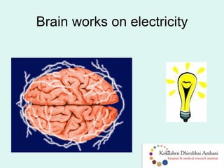 Brain works on electricity
 