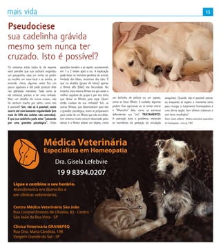 15
Médica Veterinária
Especialista em Homeopatia
Dra. Gisela Lefebvre
19 9 8394.0207
Ligue e combine o seu horário.
Atendimento em domicílio e
em clínicas veterinárias.
Centro Médico Veterinário São João
Rua Coronel Ernesto de Oliveira, 83 - Centro
São João da Boa Vista - SP
Clínica Veterinária GRANPEQ
Rua Dna. Maria Cândida, 198
Vargem Grande do Sul - SP
Os sintomas estão todos lá: de repente
você percebe que sua cachorra engordou
um pouquinho, cava um ninho no jardim
ou escolhe um novo local e se aninha, se
esconde, chora, algumas vezes fica um
pouco agressiva e até pode produzir leite
nas glândulas mamárias. Tudo como se
ela estivesse prestes a ter uma ninhada.
Mas, um detalhe ela nunca cruzou, não
há nenhum macho por perto, como isto
é possível? Sim, não só é possível, como
ocorre até com bastante regularidade (em
mais de 50% das cadelas não castradas).
É que sua cadelinha pode estar “passando
por uma gravidez psicológica”. Estes
episódios tendem a se repetir, acontecendo
em 1 a 2 meses após o cio. A explicação
pode estar na memória genética do animal,
herdada dos lobos, ancestrais dos cães. É
que na alcatéia (grupo de lobos) apenas
a fêmea alfa (líder) era fecundada. No
entanto, esta mesma fêmea era por vezes a
melhor caçadora do grupo e por isto tinha
que deixar os filhotes para caçar. Quem
então cuidava da sua ninhada? Sim, as
outras fêmeas, que desenvolviam para isto
a gravidez psicológica, assim se preparavam
para cuidar de um filhote que não era delas.
Um sintoma muito comum observado pelos
donos é a fêmea adotar um objeto, como
um bichinho de pelúcia ou um sapato,
como se fosse filhote. E cuidado, algumas
podem ficar agressivas ao se tentar retirar
o “filhotinho” dela, como se estivesse
defendendo sua “cria”. TRATAMENTO:
A castração evita o problema, retirando
os hormônios da gestação da circulação
sanguínea. Quando não é possível castrar,
ou enquanto se espera o momento certo
para cirurgia, o tratamento homeopático é
uma ótima opção. Sem efeitos colaterais e
com bons resultados!
Texto: Gisela Lefebvre - Médica veterinária especialista
em homeopatia - crmv-sp 7383
Pseudociese
sua cadelinha grávida
mesmo sem nunca ter
cruzado. Isto é possível?
 