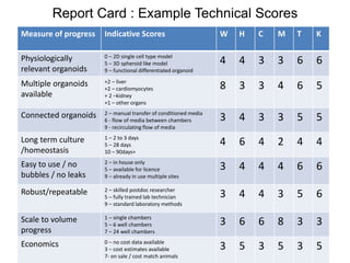 Report Card : Example Technical Scores
Measure of progress Indicative Scores W H C M T K
Physiologically
relevant organoids
0 – 2D single cell type model
5 – 3D spheroid like model
9 – functional differentiated organoid
4 4 3 3 6 6
Multiple organoids
available
+2 – liver
+2 – cardiomyocytes
+ 2 –kidney
+1 – other organs
8 3 3 4 6 5
Connected organoids 2 – manual transfer of conditioned media
6 - flow of media between chambers
9 - recirculating flow of media
3 4 3 3 5 5
Long term culture
/homeostasis
1 – 2 to 3 days
5 – 28 days
10 – 90days+
4 6 4 2 4 4
Easy to use / no
bubbles / no leaks
2 – in house only
5 – available for licence
9 – already in use multiple sites
3 4 4 4 6 6
Robust/repeatable 2 – skilled postdoc researcher
5 – fully trained lab technician
9 – standard laboratory methods
3 4 4 3 5 6
Scale to volume
progress
1 – single chambers
5 – 6 well chambers
7 – 24 well chambers
3 6 6 8 3 3
Economics 0 – no cost data available
3 – cost estimates available
7- on sale / cost match animals
3 5 3 5 3 5
 