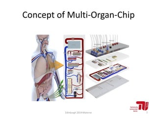 Concept of Multi-Organ-Chip
Edinburgh 2014 Materne 7
 
