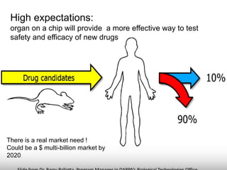 Organ on a chip | PDF