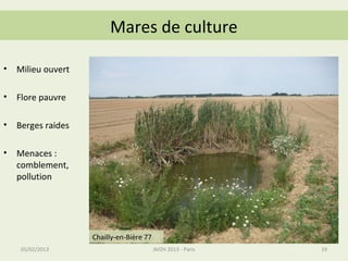 Mares de culture

•   Milieu ouvert

•   Flore pauvre

•   Berges raides

•   Menaces :
    comblement,
    pollution




                    Chailly-en-Bière 77
     05/02/2013                           JMZH 2013 - Paris   19
 