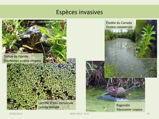 Espèces invasives
                 Fruggo – Licence creative commons
                                                                         Élodée du Canada
                                                                         Elodea canadensis




Tortue de Floride
Trachemys scripta elegans




                          Lentille d’eau minuscule
                                                                               Ragondin
                          Lemna minuta
                                                                               Myocastor coypus
    05/02/2013                                       JMZH 2013 - Paris                            24
 