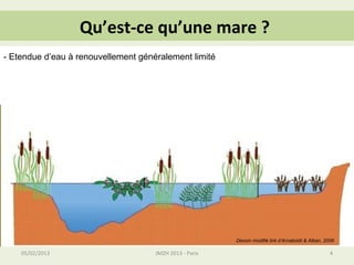 Qu’est-ce qu’une mare ?
- Etendue d’eau à renouvellement généralement limité

• A retenir :
    –   Etendue d’eau à renouvellement généralement limité
    –   Taille variable : maximum de 5000 m²
    –   Faible profondeur : maximum de 2 m
    –   Pas de zone aphotique : la lumière traverse complètement
    –   Permanente ou temporaire
    –   Forte variabilité biologique et hydrologique interannuelle
    –   Forte productivité potentielle

                                                         Dessin modifié tiré d’Arnaboldi & Alban, 2006

    05/02/2013                       JMZH 2013 - Paris                                              4
 
