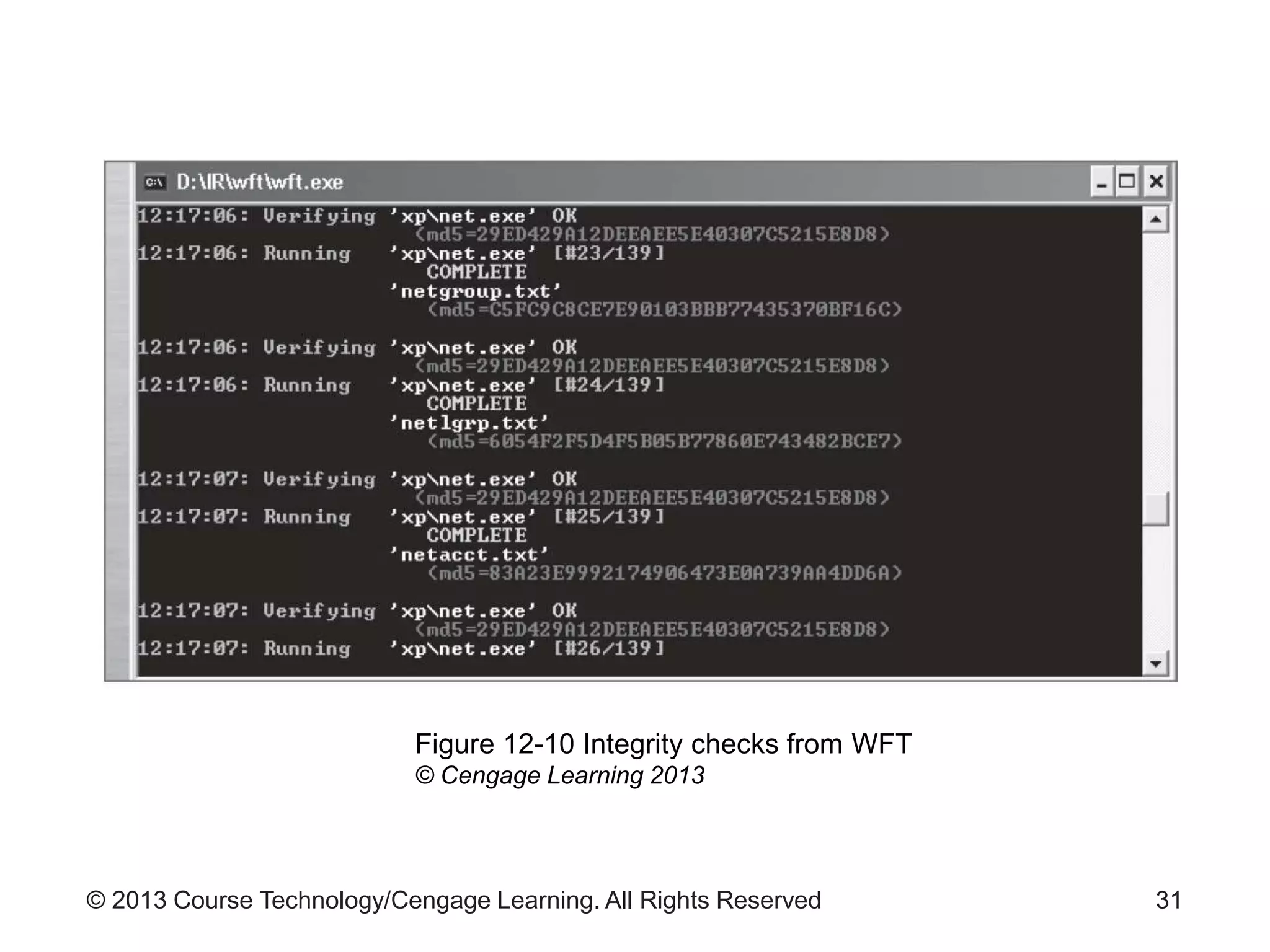 © 2013 Course Technology/Cengage Learning. All Rights Reserved 31
Figure 12-10 Integrity checks from WFT
© Cengage Learning 2013
 