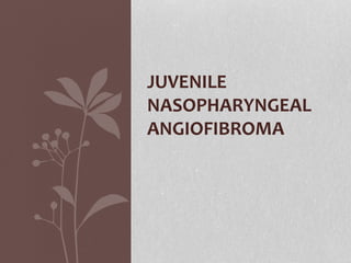 JUVENILE
NASOPHARYNGEAL
ANGIOFIBROMA
 