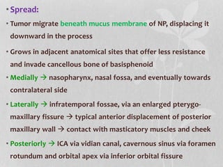 •Spread:
• Tumor migrate beneath mucus membrane of NP, displacing it
downward in the process
• Grows in adjacent anatomical sites that offer less resistance
and invade cancellous bone of basisphenoid
• Medially  nasopharynx, nasal fossa, and eventually towards
contralateral side
• Laterally  infratemporal fossae, via an enlarged pterygo-
maxillary fissure  typical anterior displacement of posterior
maxillary wall  contact with masticatory muscles and cheek
• Posteriorly  ICA via vidian canal, cavernous sinus via foramen
rotundum and orbital apex via inferior orbital fissure
 