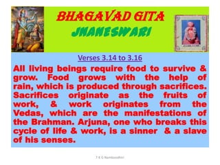 BHAGAVAD GITA
JNANESWARI
Verses 3.14 to 3.16
All living beings require food to survive &
grow. Food grows with the help of
rain, which is produced through sacrifices.
Sacrifices originate as the fruits of
work, & work originates from the
Vedas, which are the manifestations of
the Brahman. Arjuna, one who breaks this
cycle of life & work, is a sinner & a slave
of his senses.
T K G Namboodhiri
 