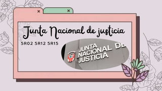 Junta Nacional de justicia
 