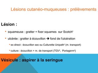 Lésions cutanéo-muqueuses : prélèvements 
Lésion : 
 squameuse : gratter + fixer squames sur Scotch® 
 ulcérée : gratter à écouvillon  fond de l'ulcération 
 ex direct : écouvillon sec ou Culturette Unipath® (m. transport) 
 culture : écouvillon + m. de transport (TGV®, Portagerm®) 
Vésicule : aspirer à la seringue 
 