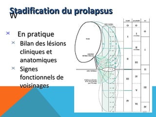 WSSttaaddiiffiiccaattiioonn dduu pprroollaappssuuss 
 EEnn pprraattiiqquuee 
 BBiillaann ddeess llééssiioonnss 
cclliinniiqquueess eett 
aannaattoommiiqquueess 
 SSiiggnneess 
ffoonnccttiioonnnneellss ddee 
vvooiissiinnaaggeess 
101 
 