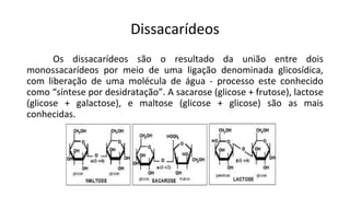 Dissacarídeos
Os dissacarídeos são o resultado da união entre dois
monossacarídeos por meio de uma ligação denominada glicosídica,
com liberação de uma molécula de água - processo este conhecido
como “síntese por desidratação”. A sacarose (glicose + frutose), lactose
(glicose + galactose), e maltose (glicose + glicose) são as mais
conhecidas.
 