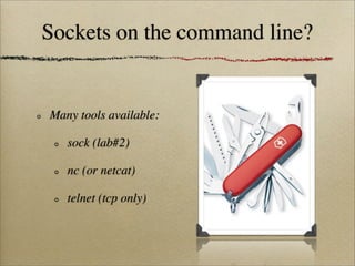 Sockets on the command line?
Many tools available:
sock (lab#2)
nc (or netcat)
telnet (tcp only)
 