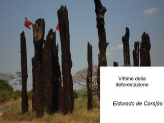 Vittime della deforestazione Eldorado de Carajás 