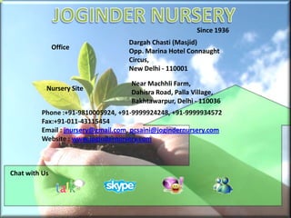 JOGINDER NURSERY Since 1936 Dargah Chasti (Masjid) Opp. Marina Hotel Connaught Circus, New Delhi - 110001 Office Near Machhli Farm, Dahisra Road, Palla Village, Bakhtawarpur, Delhi - 110036 Nursery Site Phone :+91-9810005924, +91-9999924248, +91-9999934572 Fax:+91-011-43115454 Email : jnursery@gmail.com, pcsaini@jogindernursery.com Website : www.jogindernursery.com Chat with Us 
