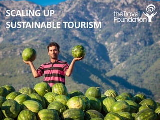 SCALING UP
SUSTAINABLE TOURISM
 