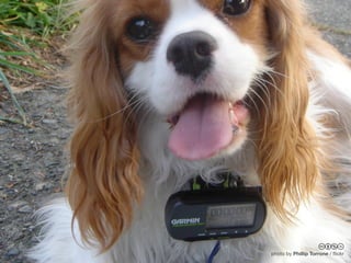 cbnd
photo by Phillip Torrone / ﬂickr
 