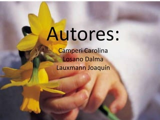 Autores:Camperi CarolinaLosano DalmaLauxmann Joaquín