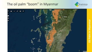 The oil palm “boom” in Myanmar
OilPalminMyanmar
 
